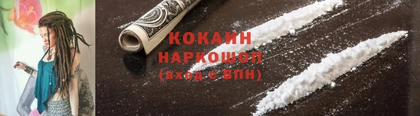 спайс Пересвет