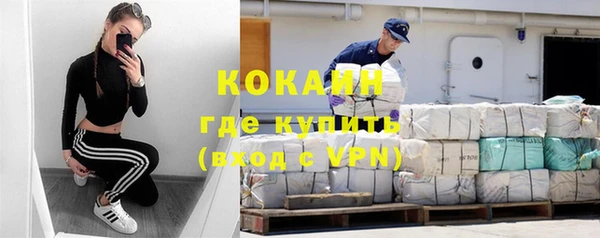 спайс Пересвет