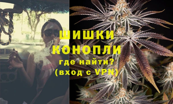 шишки Ельня