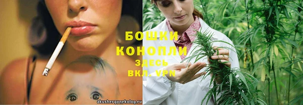 спайс Пересвет