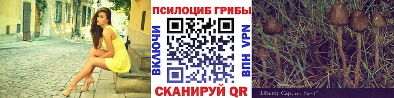 Псилоцибиновые грибы Psilocybe  Азнакаево 