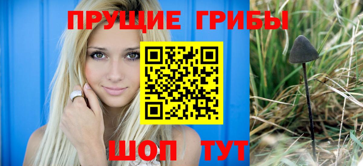 Галлюциногенные грибы Magic Shrooms  Азнакаево 