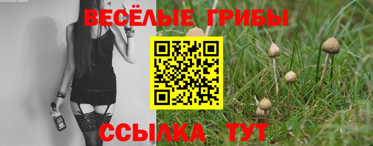 Псилоцибиновые грибы Magic Shrooms Азнакаево