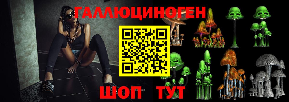 Псилоцибиновые грибы прущие грибы  Вход с VPN  Азнакаево 
